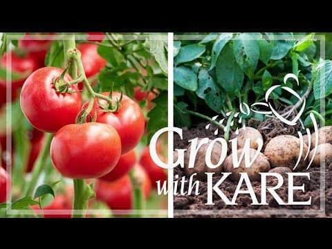 Grow with KARE: Companion planting & combinations to avoid