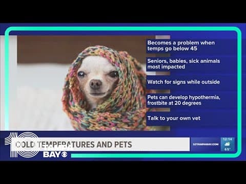 Tips to keep your furry friends warm during weekend cold snap