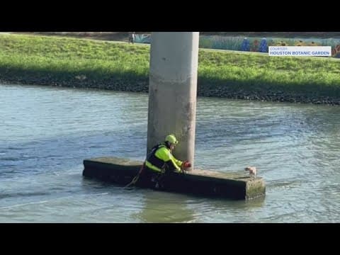 Chihuahua owner thanks Houston firefighter for rescuing dog from bayou