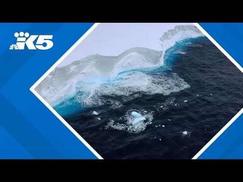 World's biggest iceberg caught in spinning vortex