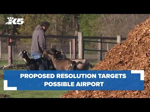 Proposed resolution targets possible airport