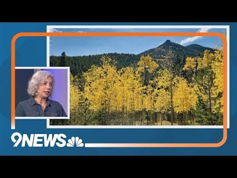 Photography expert shares tips on how to get pro-quality foliage pics