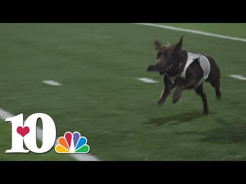 10Sports Blitz: Anderson County wins against Gibbs, 55-6