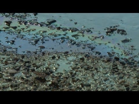 Roseland Smitty's Plant Fire Fully Extinguished, Officials Say