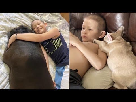 Working Fur Kids | Help Rady Children's Hospital reach goal of having its own professional canine th