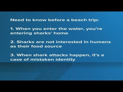 Tips on preventing shark attacks
