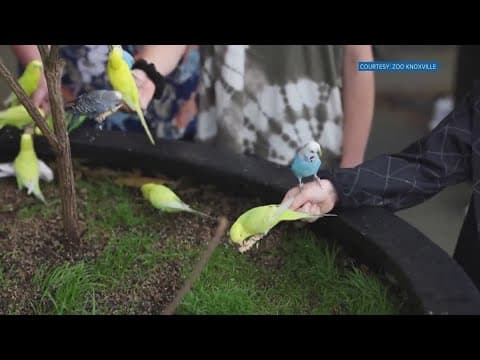 Zoo Knoxville to bring back extended hours