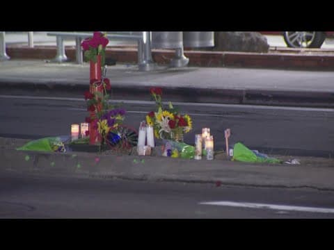 Driver in double-fatal San Diego Police crash identified as 16-year-old male