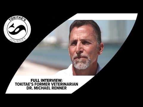 Tokitae's Journey: Interview with Tokitae's former veterinarian, Dr. Michael Renner