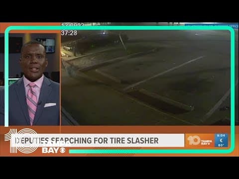 HCSO looking for man suspected of car vandalism spree