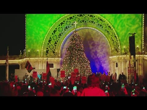 December Nights tree lighting kicks off the holiday season