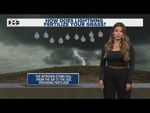 Can lightning fertilize your grass? Yes, this is how