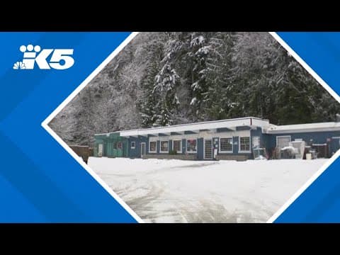 Winter wonderland sweeps through south Bellingham as snow blankets parts of western Washington