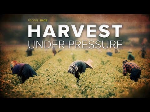 Harvest Under Pressure | A Facing Race special