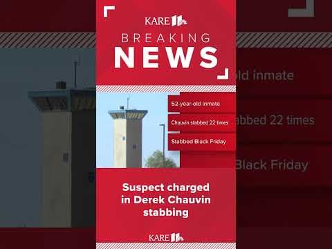 Derek Chauvin was stabbed 22 times in prison, according to charging documents against the suspect.