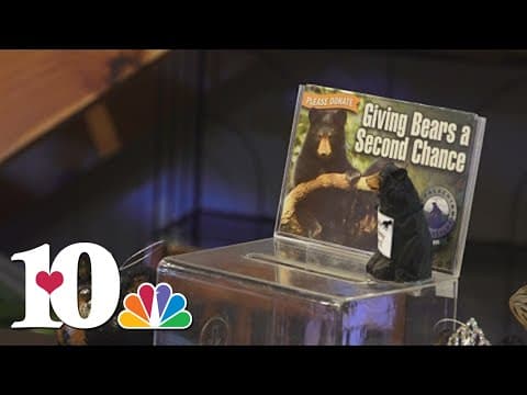 25 Days of Giving: Appalachian Bear Rescue