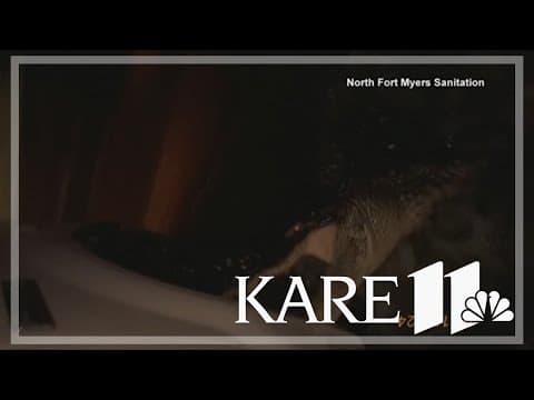 Video shows alligator emerge from Hurricane Milton floodwaters, attacking vehicle