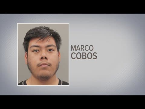 Houston, Texas crime: Man who stabbed elderly woman 13 times gets plea deal