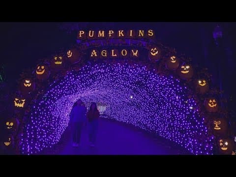 'Pumpkins Aglow' exhibit returns to Franklin Park Conservatory