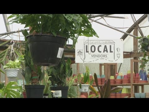 Tips and tricks when making the most of your spring garden