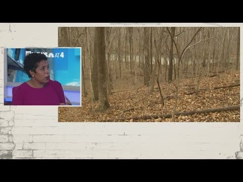 Legal expert breaks down psychologist's testimony | Delphi murders trial Day 11