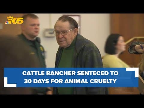 Skagit County rancher whose cattle were left to starve sentenced to 30 days in jail
