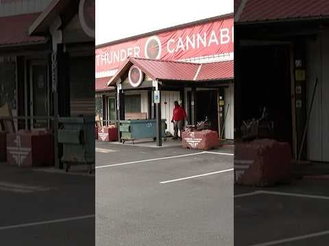 Teens rob Tumwater pot shop, get busted in nearby swamp