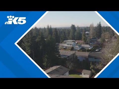 Lynnwood City Council approves 52% property tax increase
