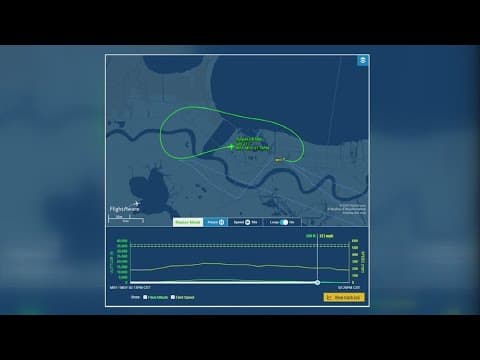 Southwest flight out of New Orleans turns around after hitting a bird