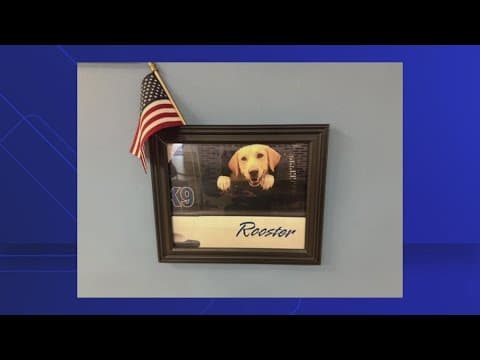 Bowie Police mourn the passing of retired K9 Rooster