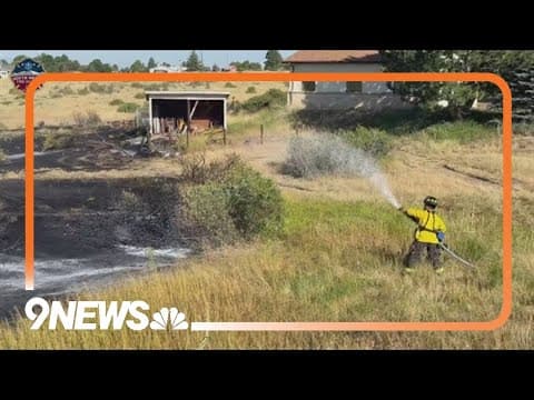 Bird gets electrocuted on power line, sparks fire