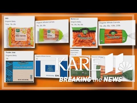 Carrots, onions, and restaurant ground beef: What is going on with all the E. coli outbreaks?