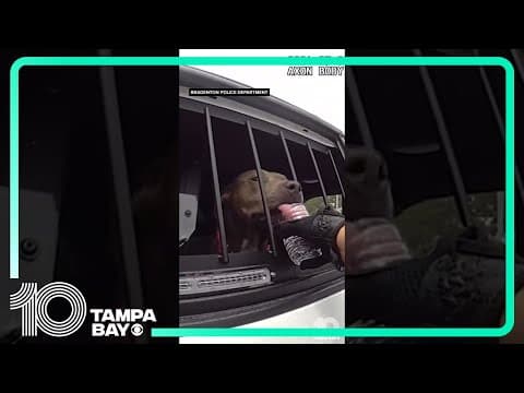 #Florida police rescue dog locked inside hot car