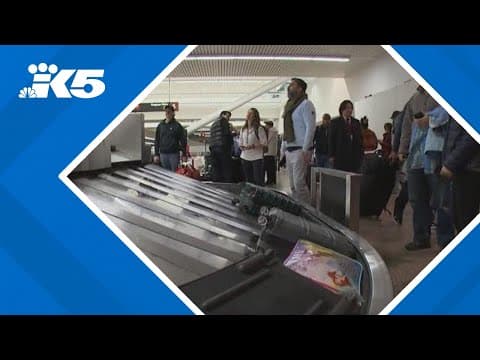 Preparing for holiday travel