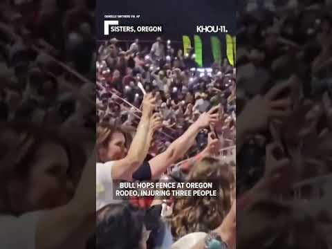 Bull jumps fence at Oregon rodeo, injuring three people #shorts