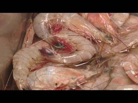 Louisiana law forces restaurants, markets to label foreign shellfish