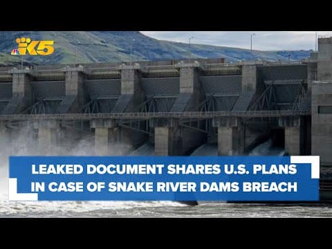 Leaked document says US is willing to build energy projects in case Snake River dams are breached
