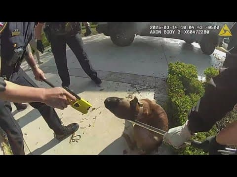 Dallas 'Bachelor' star dog attack captured on body camera footage, expert weighs in