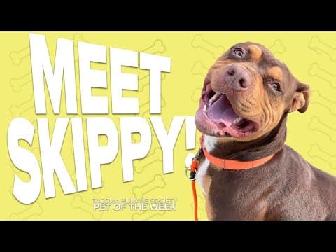 Pet Rescue of the Week: Skippy