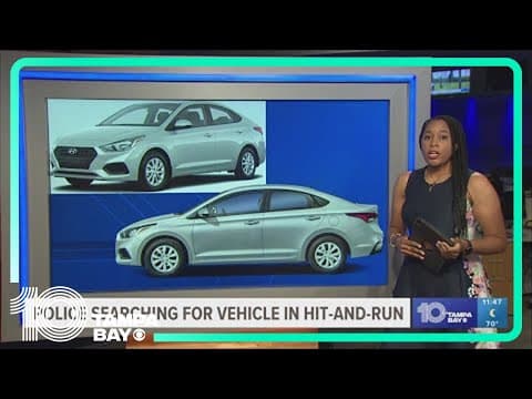Police searching for vehicle involved in Pinellas Park hit-and-run