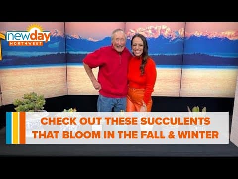 Check out these succulents that bloom in the fall and winter - New Day NW