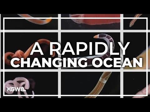 University of Oregon researchers discover new ocean worm species