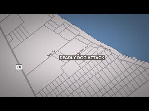 Man dies after being attacked by his 2 dogs in his yard, Galveston County officials say