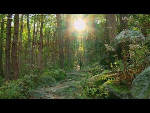 National Guard helicopter rescues juvenile who suffered injury on Rainbow Falls Trail in the Smokies
