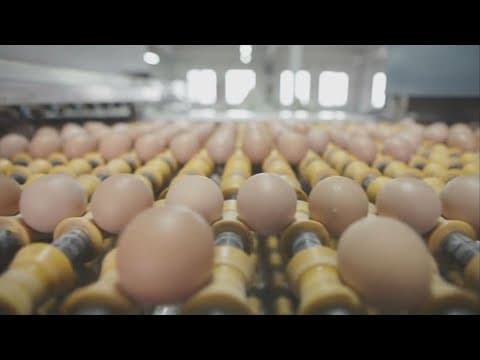 Button up your budget: Which Houston essentials are getting more expensive