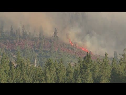 Multiple states under an air quality alert because of wildfires