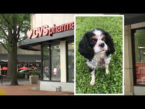 Arlington dog owner plans to file lawsuit against CVS over prescription mix-up