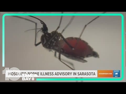 Mosquito-borne illness advisory in Sarasota over West Nile case
