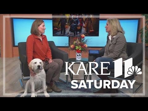 Trick-or-treat training tips for your dog on Halloween