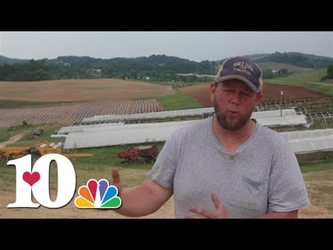 Grangier County tomato farmer crop update